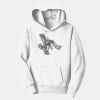 PC Youth Fan Favorite Hooded Sweatshirt Thumbnail