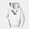 PC Youth Fan Favorite Hooded Sweatshirt Thumbnail