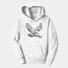 PC Youth Fan Favorite Hooded Sweatshirt Thumbnail