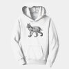 PC Youth Fan Favorite Hooded Sweatshirt Thumbnail