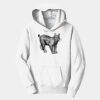 PC Youth Fan Favorite Hooded Sweatshirt Thumbnail