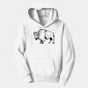 PC Youth Fan Favorite Hooded Sweatshirt Thumbnail