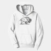PC Youth Fan Favorite Hooded Sweatshirt Thumbnail