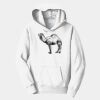 PC Youth Fan Favorite Hooded Sweatshirt Thumbnail