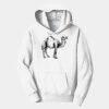PC Youth Fan Favorite Hooded Sweatshirt Thumbnail
