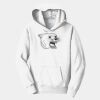 PC Youth Fan Favorite Hooded Sweatshirt Thumbnail
