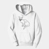 PC Youth Fan Favorite Hooded Sweatshirt Thumbnail