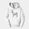 PC Youth Fan Favorite Hooded Sweatshirt Thumbnail