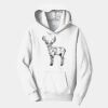 PC Youth Fan Favorite Hooded Sweatshirt Thumbnail