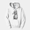 PC Youth Fan Favorite Hooded Sweatshirt Thumbnail