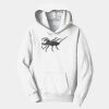 PC Youth Fan Favorite Hooded Sweatshirt Thumbnail