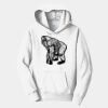 PC Youth Fan Favorite Hooded Sweatshirt Thumbnail