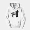 PC Youth Fan Favorite Hooded Sweatshirt Thumbnail