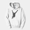 PC Youth Fan Favorite Hooded Sweatshirt Thumbnail