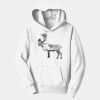 PC Youth Fan Favorite Hooded Sweatshirt Thumbnail