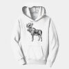 PC Youth Fan Favorite Hooded Sweatshirt Thumbnail