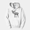 PC Youth Fan Favorite Hooded Sweatshirt Thumbnail