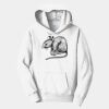 PC Youth Fan Favorite Hooded Sweatshirt Thumbnail