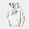 PC Youth Fan Favorite Hooded Sweatshirt Thumbnail
