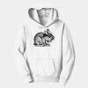 PC Youth Fan Favorite Hooded Sweatshirt Thumbnail