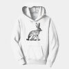 PC Youth Fan Favorite Hooded Sweatshirt Thumbnail