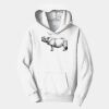 PC Youth Fan Favorite Hooded Sweatshirt Thumbnail