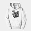 PC Youth Fan Favorite Hooded Sweatshirt Thumbnail