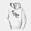 PC Youth Fan Favorite Hooded Sweatshirt Thumbnail