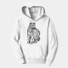 PC Youth Fan Favorite Hooded Sweatshirt Thumbnail