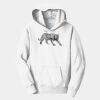 PC Youth Fan Favorite Hooded Sweatshirt Thumbnail