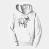 PC Youth Fan Favorite Hooded Sweatshirt Thumbnail