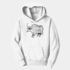 PC Youth Fan Favorite Hooded Sweatshirt Thumbnail