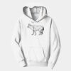 PC Youth Fan Favorite Hooded Sweatshirt Thumbnail
