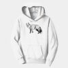PC Youth Fan Favorite Hooded Sweatshirt Thumbnail