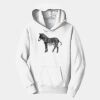 PC Youth Fan Favorite Hooded Sweatshirt Thumbnail