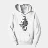 PC Youth Fan Favorite Hooded Sweatshirt Thumbnail