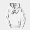 PC Youth Fan Favorite Hooded Sweatshirt Thumbnail