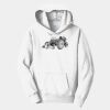 PC Youth Fan Favorite Hooded Sweatshirt Thumbnail