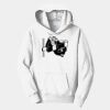 PC Youth Fan Favorite Hooded Sweatshirt Thumbnail