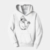 PC Youth Fan Favorite Hooded Sweatshirt Thumbnail