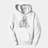 PC Youth Fan Favorite Hooded Sweatshirt Thumbnail