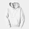 PC Youth Fan Favorite Hooded Sweatshirt Thumbnail