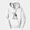 PC Youth Fan Favorite Hooded Sweatshirt Thumbnail