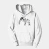 PC Youth Fan Favorite Hooded Sweatshirt Thumbnail