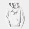 PC Youth Fan Favorite Hooded Sweatshirt Thumbnail