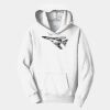 PC Youth Fan Favorite Hooded Sweatshirt Thumbnail