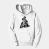 PC Youth Fan Favorite Hooded Sweatshirt Thumbnail