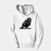 PC Youth Fan Favorite Hooded Sweatshirt Thumbnail