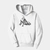 PC Youth Fan Favorite Hooded Sweatshirt Thumbnail