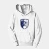 PC Youth Fan Favorite Hooded Sweatshirt Thumbnail